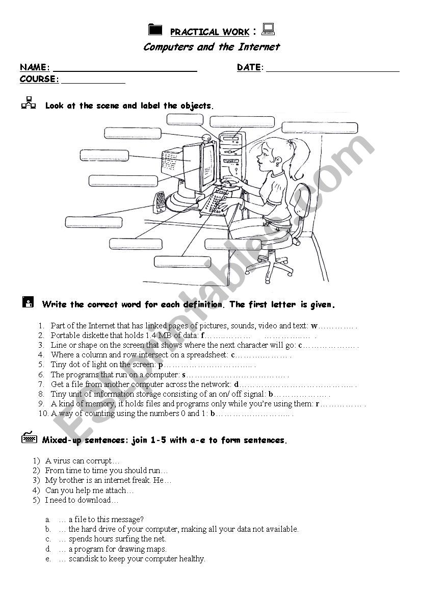 Computers and the Internet  worksheet