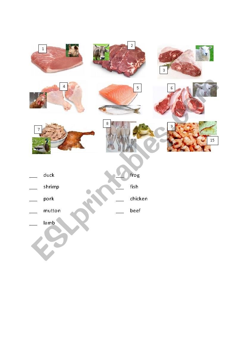 Meat worksheet