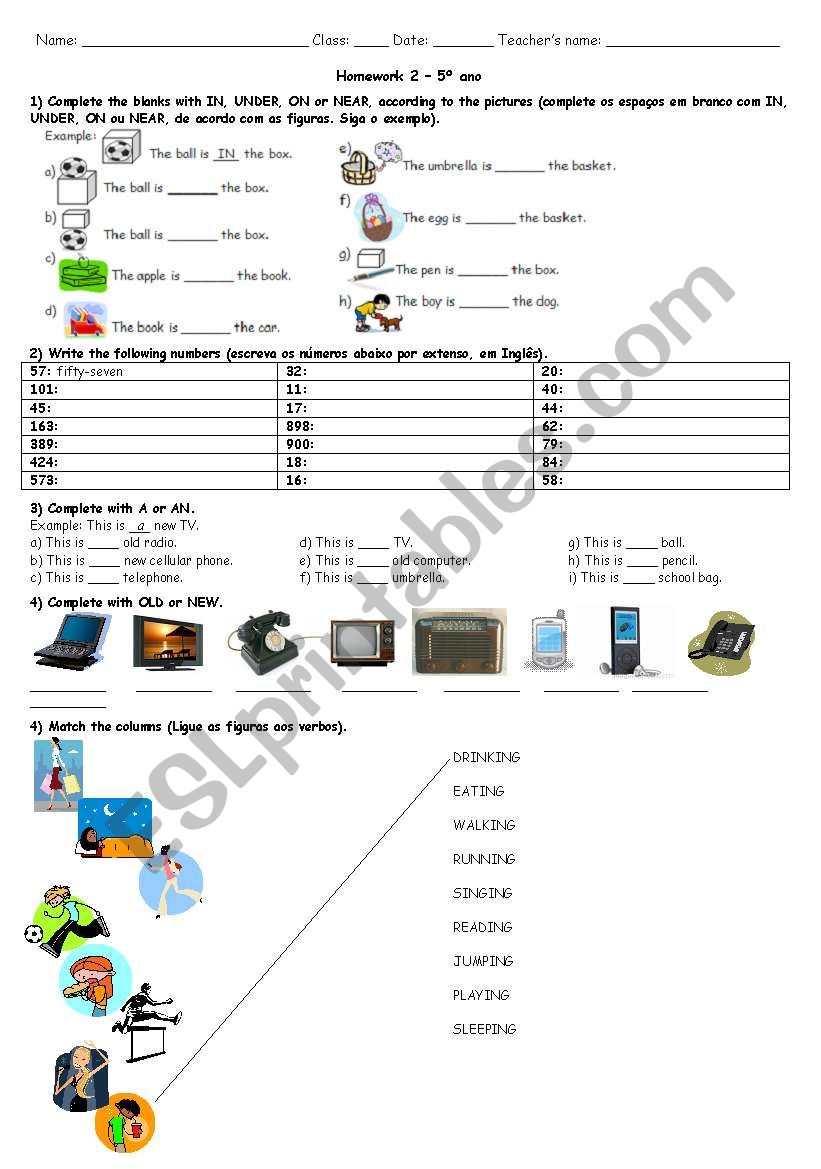 Exercises for begginers worksheet