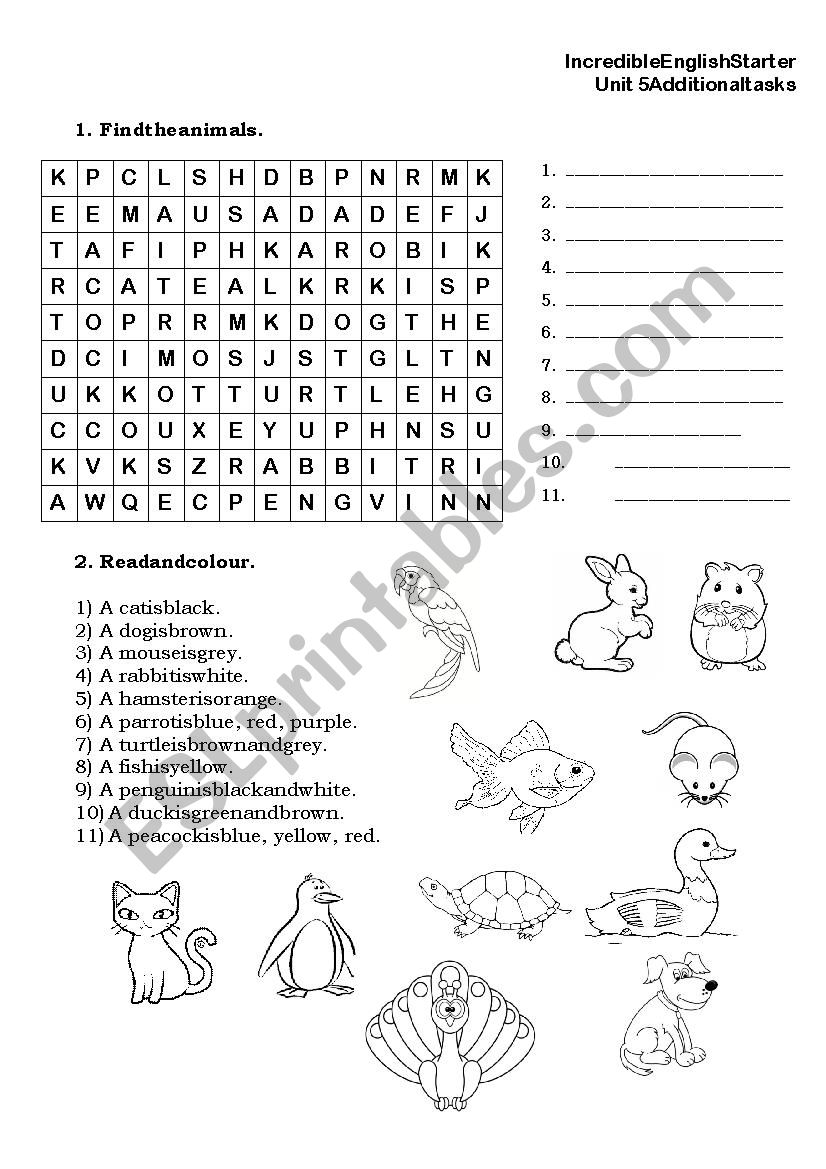 Animals worksheet