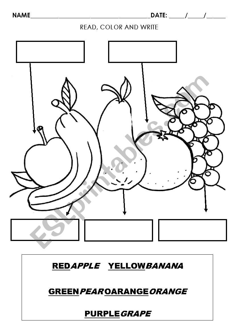 Fruits worksheet