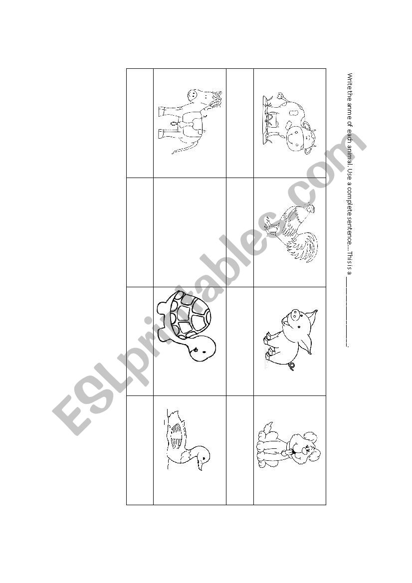 Identify animals worksheet