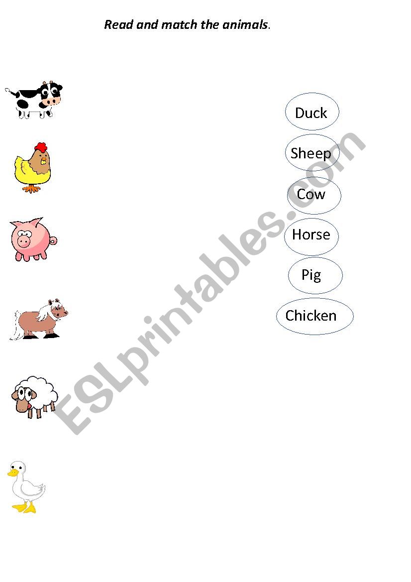 Animals worksheet