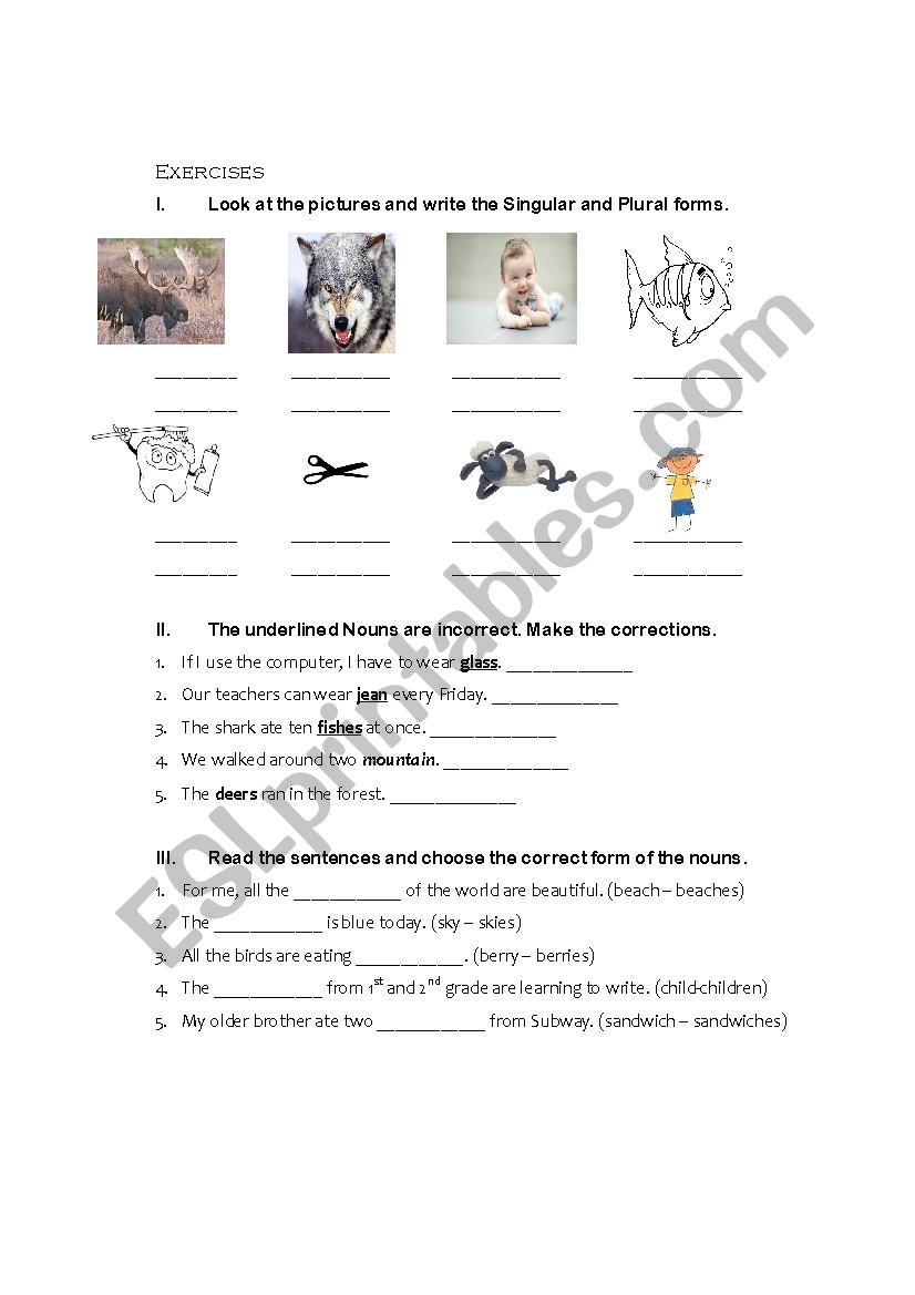 Singular - Plural Nouns worksheet