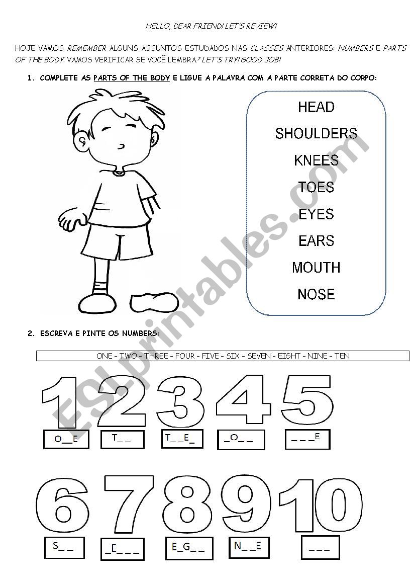 Parts of the body and numbers worksheet