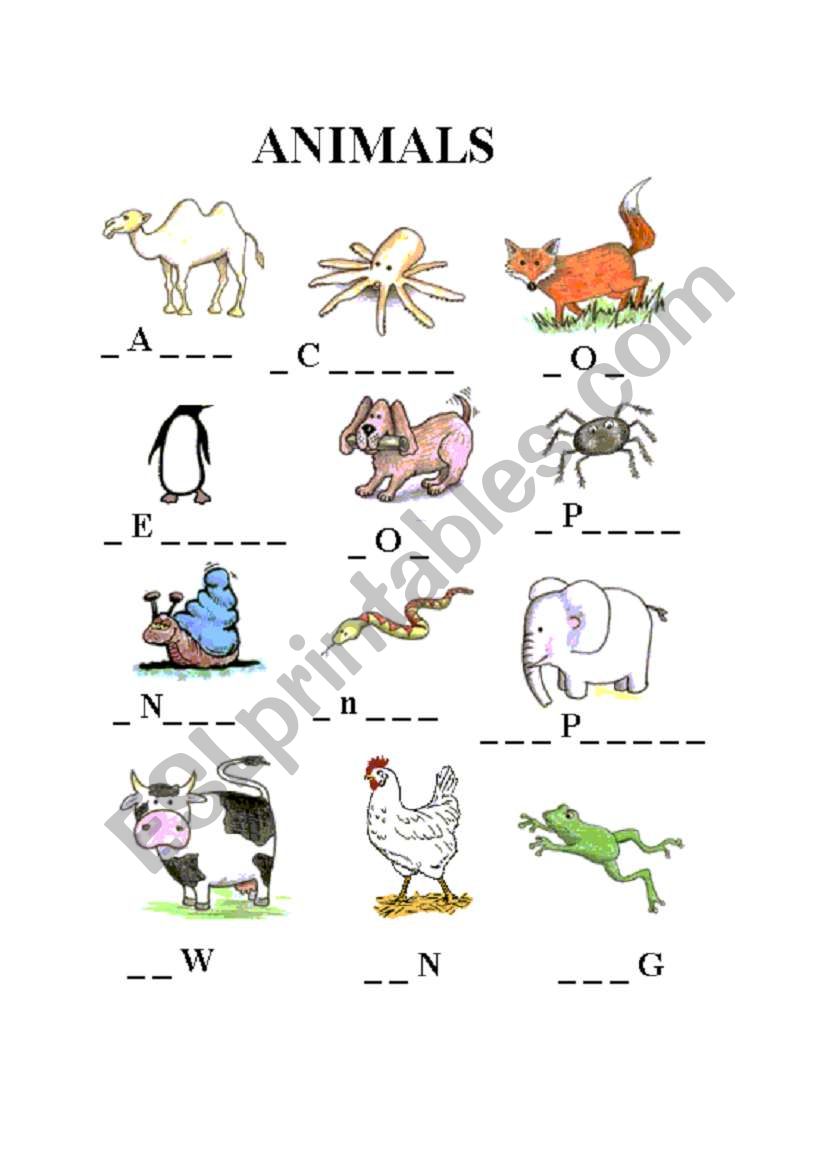 Animals worksheet