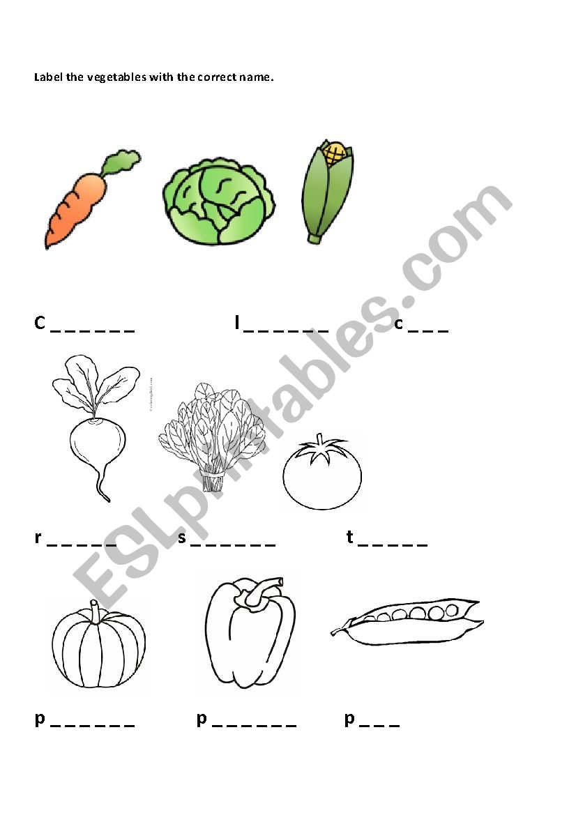 Vegetables worksheet