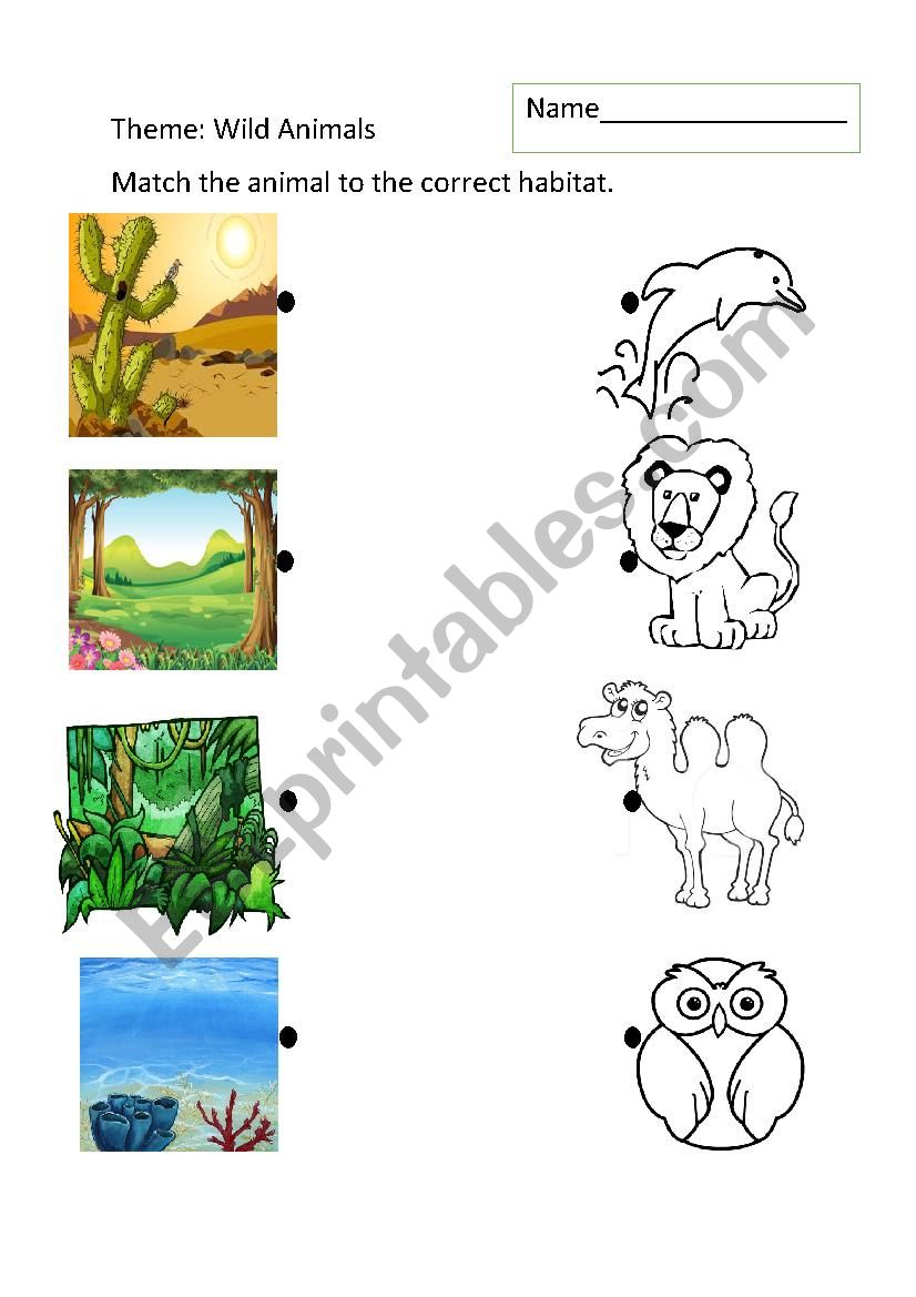 Animal Habitats worksheet