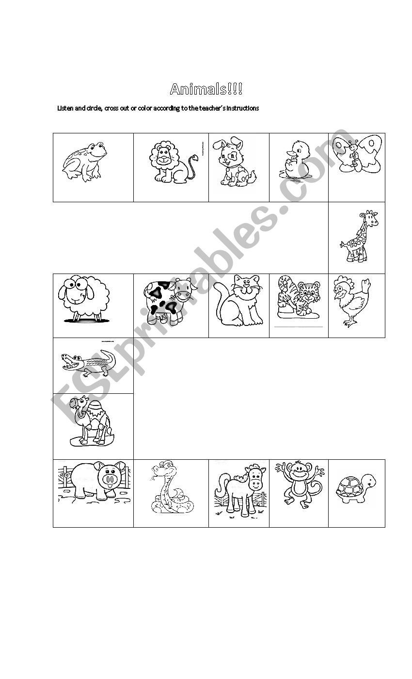 Animals worksheet