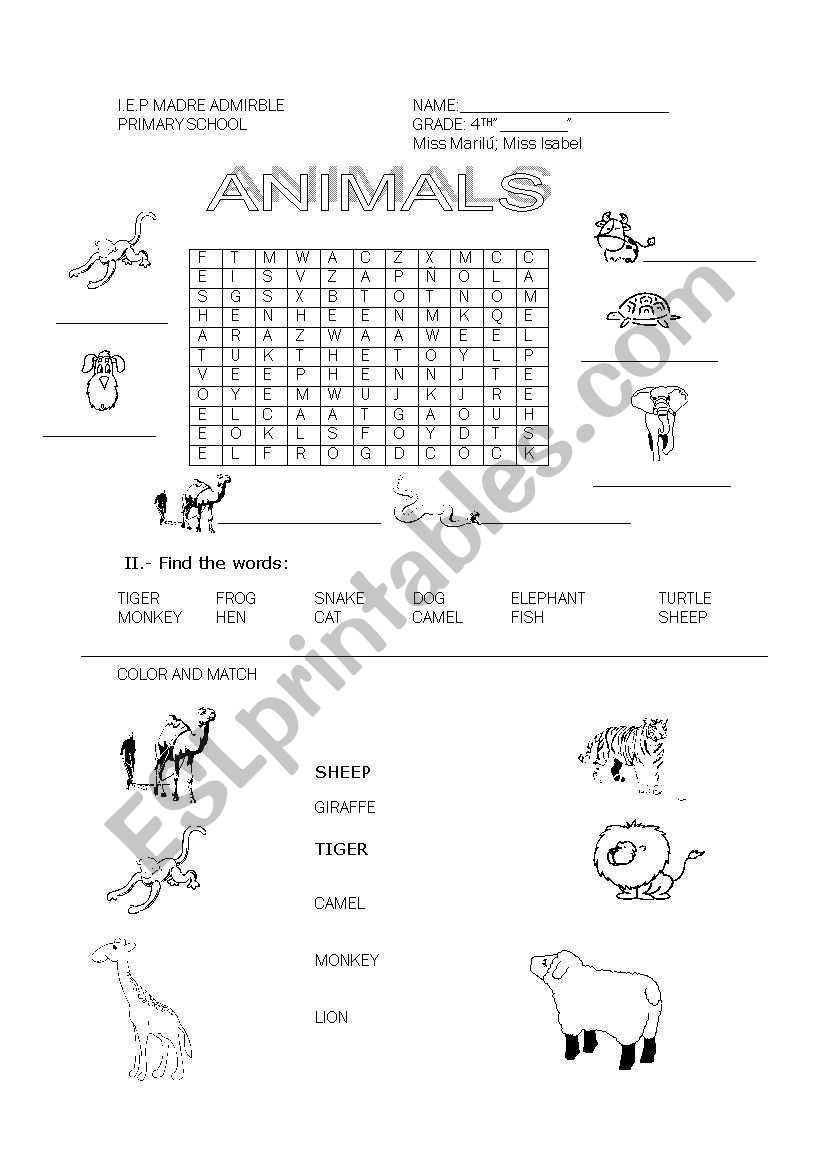 ANIMALS worksheet