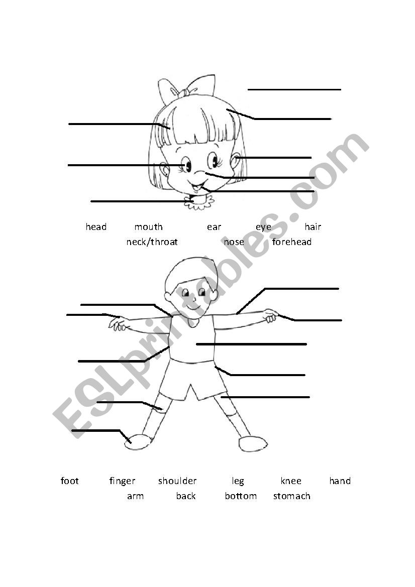 Parts of the face and body worksheet