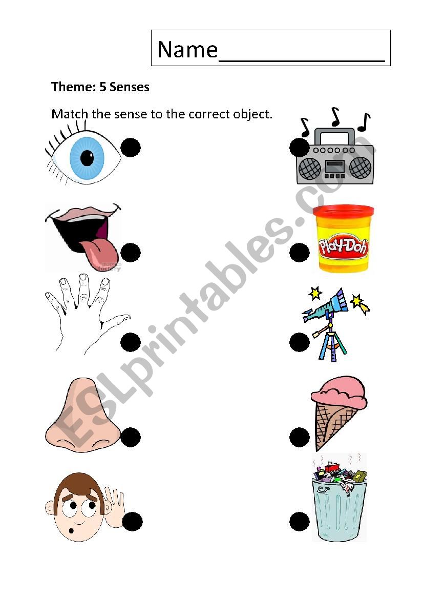 5 Senses worksheet