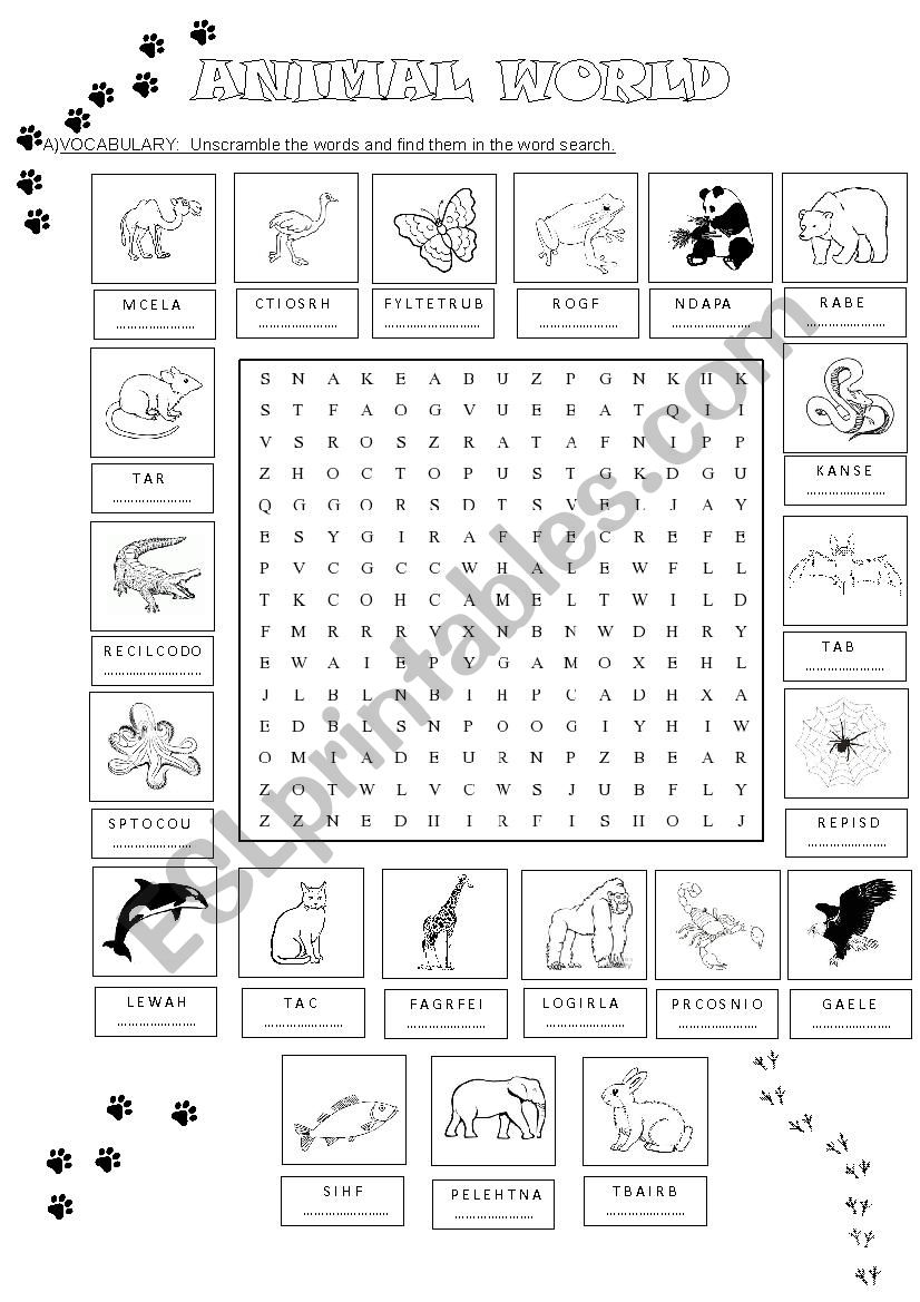 Animal world worksheet