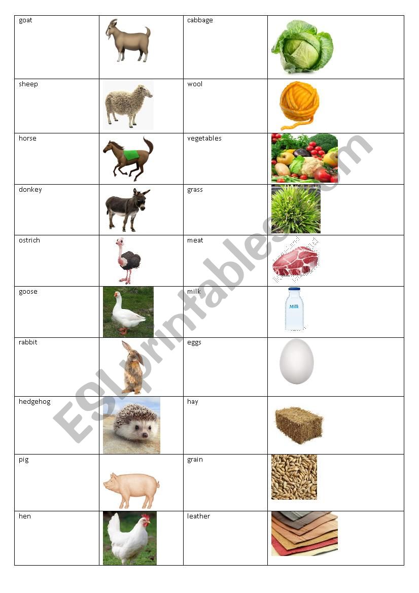 Vocabulary farm animals and what they give us