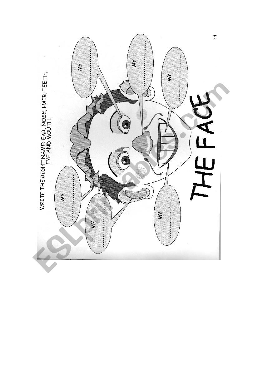 My face worksheet