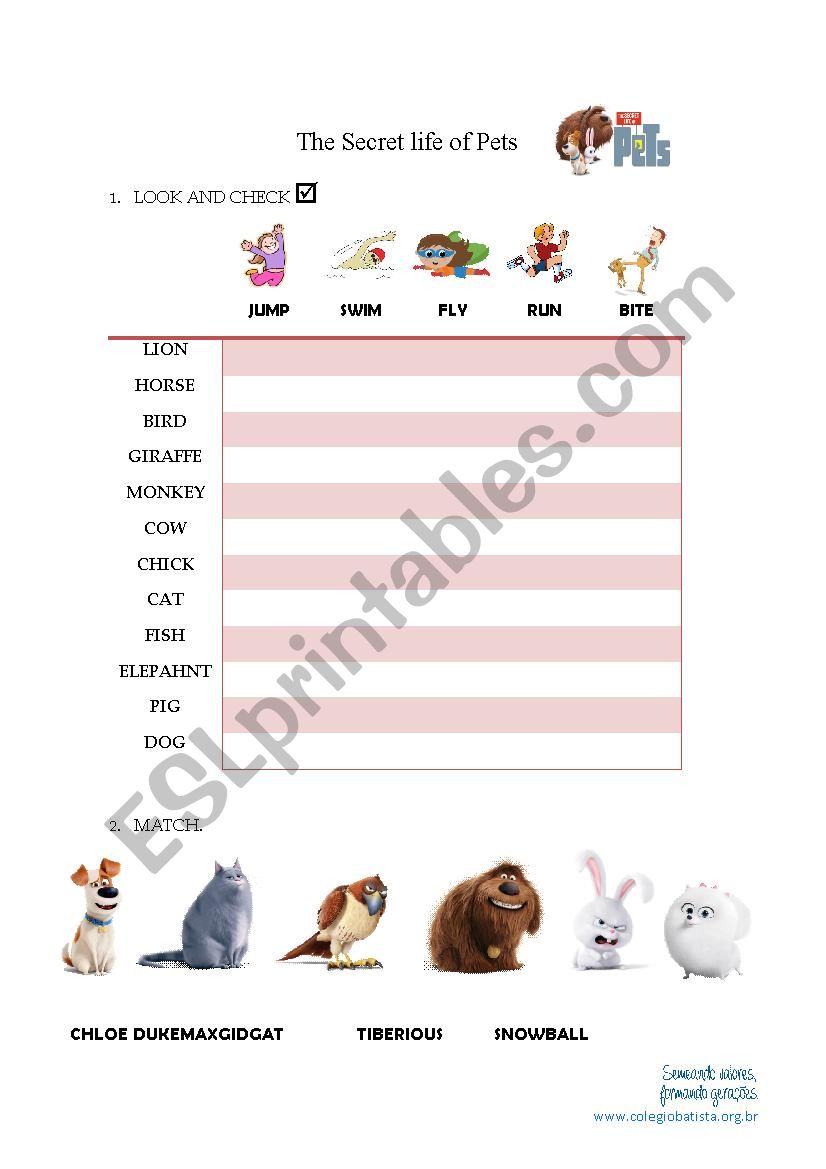 The Secret Life of Pets worksheet