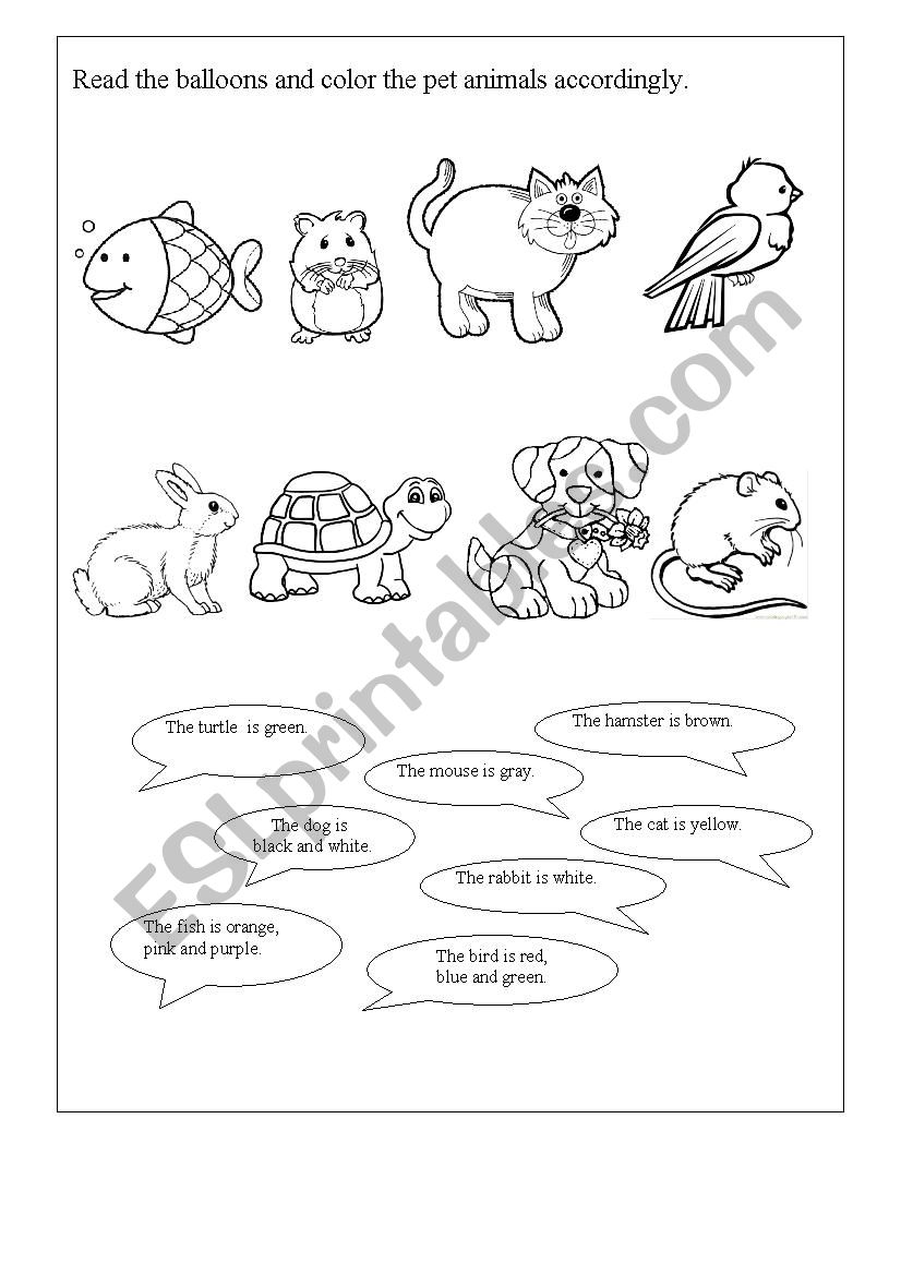 Read and color the pets worksheet