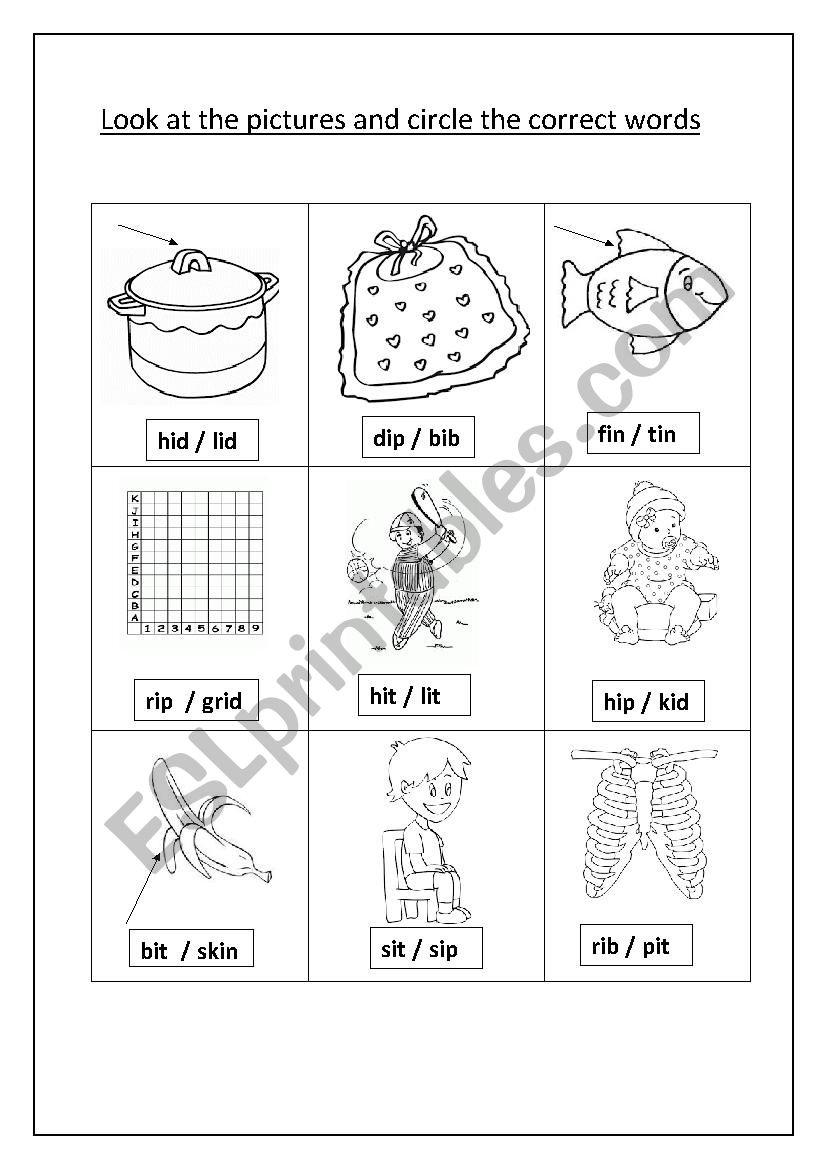 circle the correct word worksheet