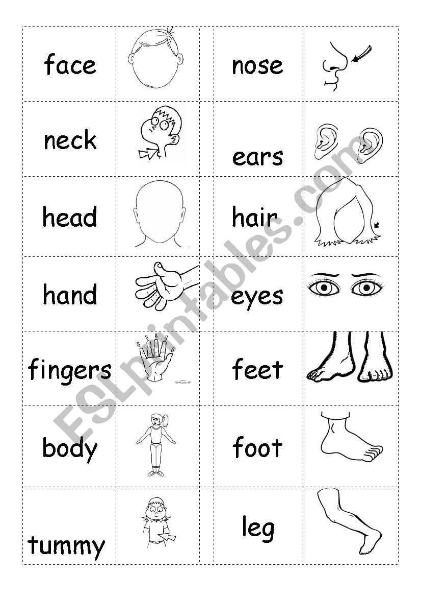 BODY PARTS worksheet BODY PARTS worksheet