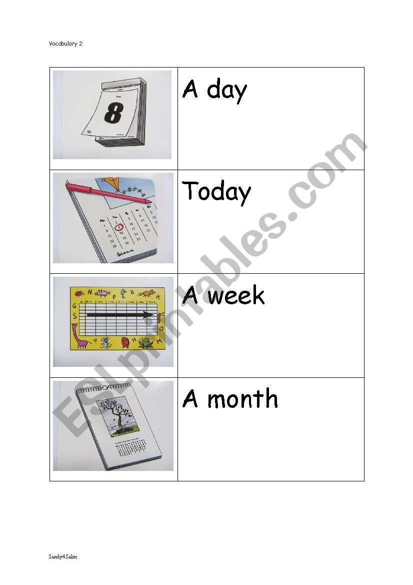 Vocabulary 