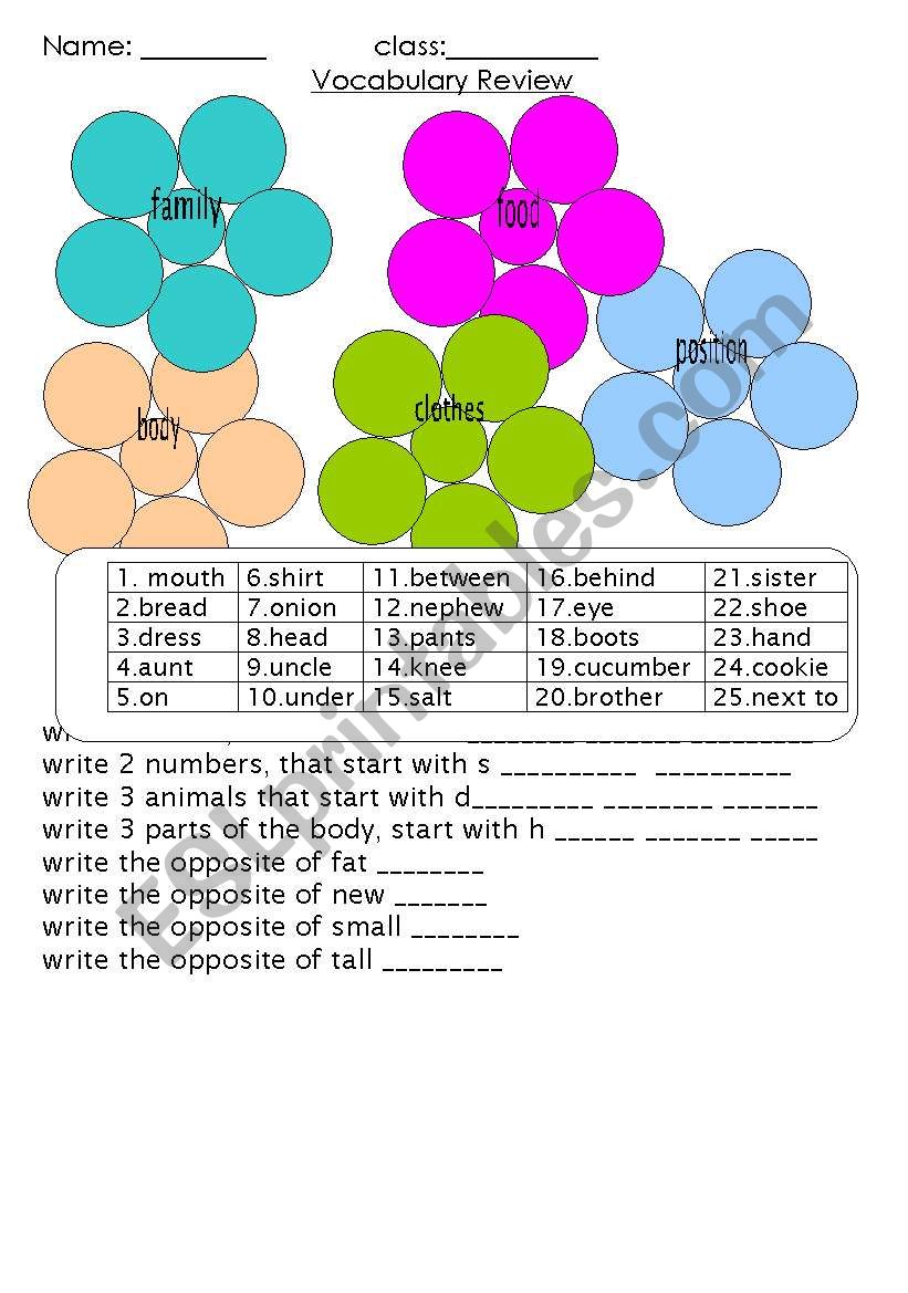 vocabulary review worksheet