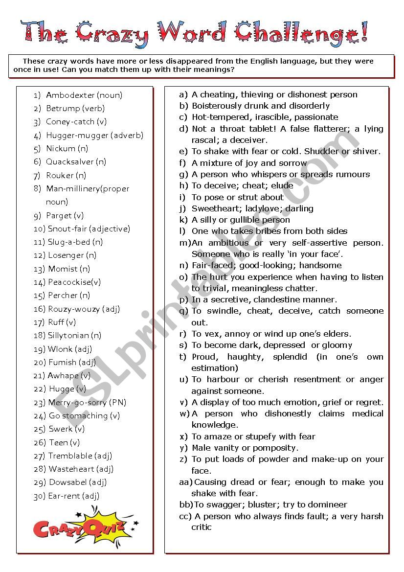 The Crazy Word Challenge! worksheet