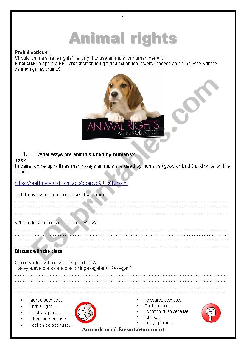 animal rights worksheet