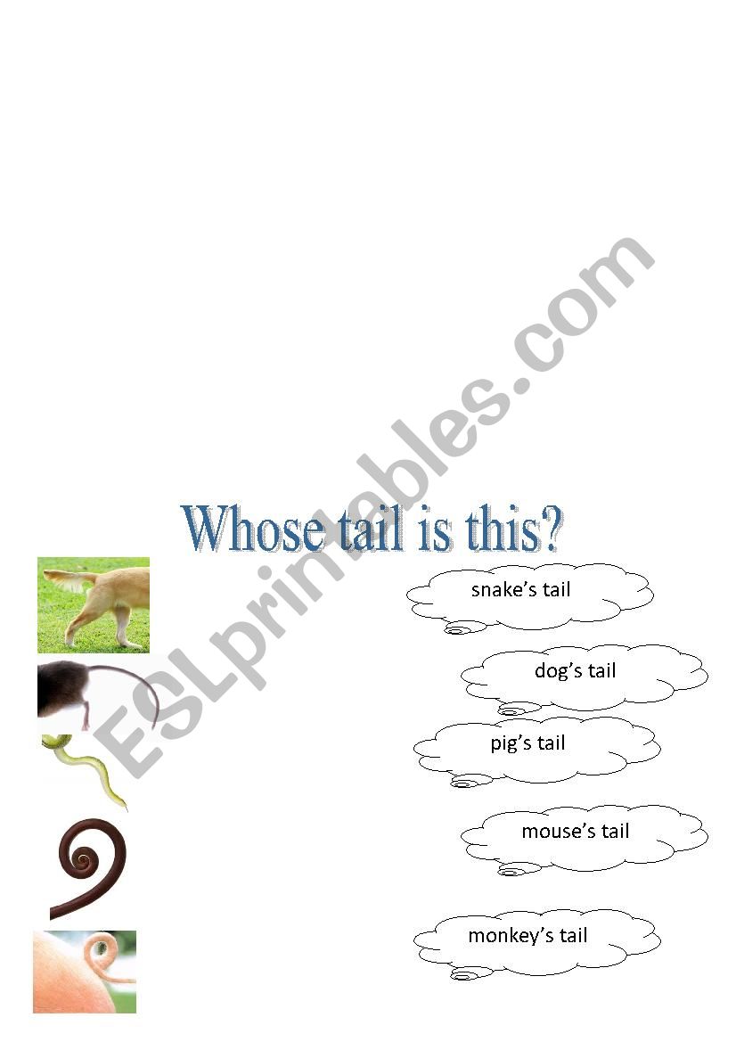 whose tail is thiis worksheet