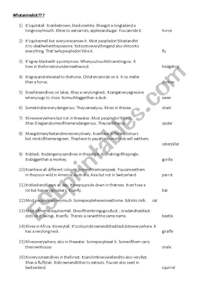 What animal is it? worksheet