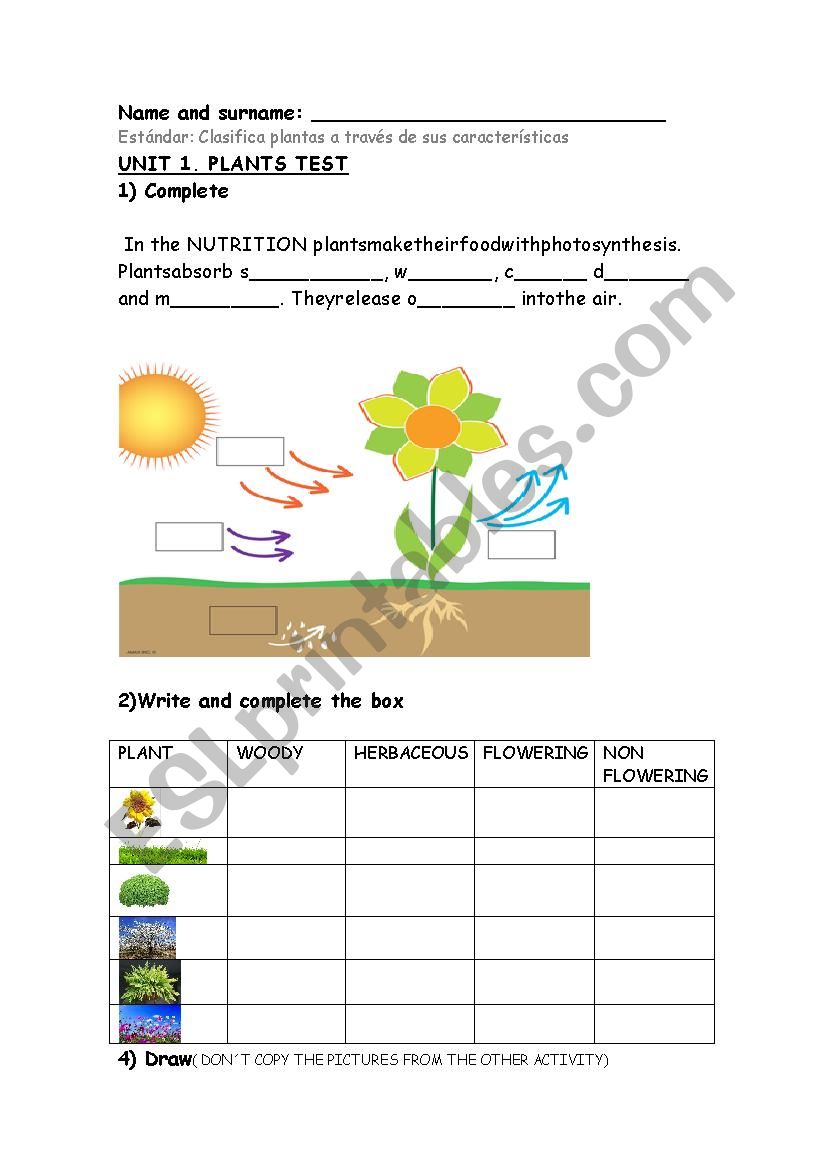 PLANTS worksheet