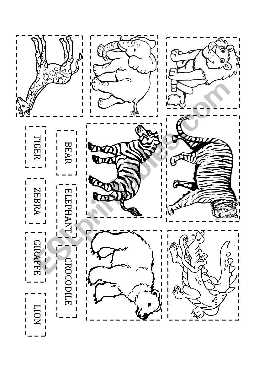 Zoo animals worksheet