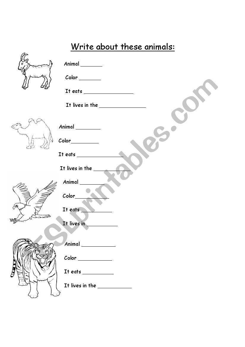 animals worksheet