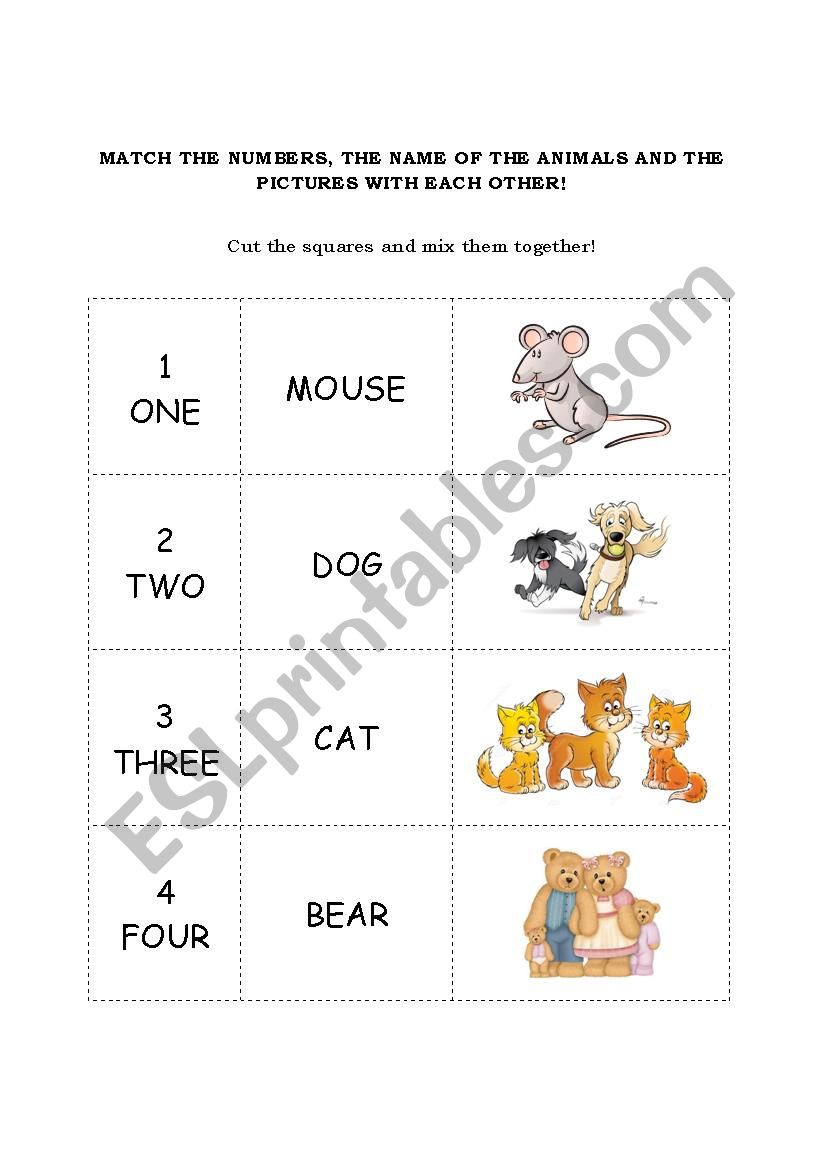 numbers and objects worksheet