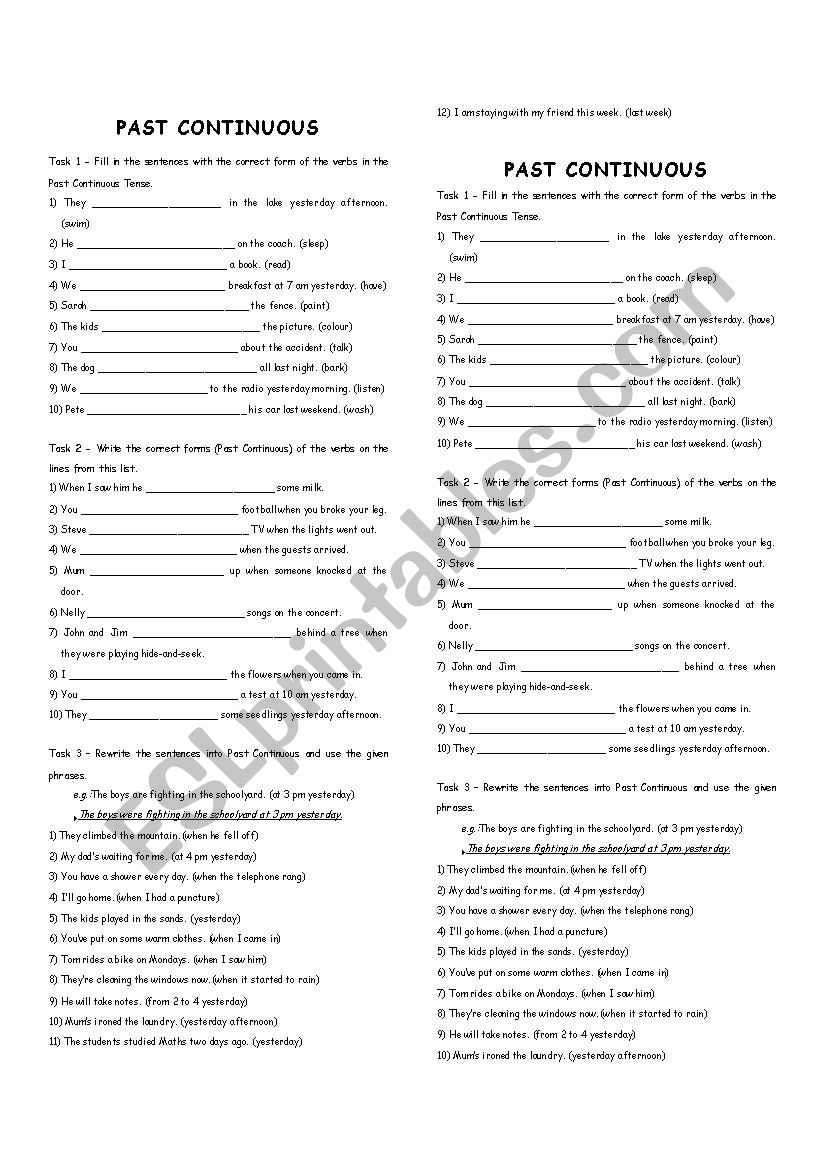 PAST CONTINUOUS worksheet