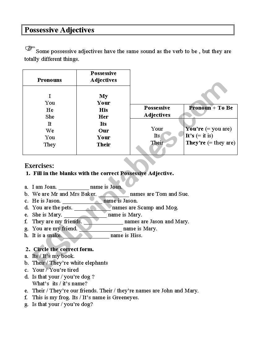 Possessive adjectives worksheet