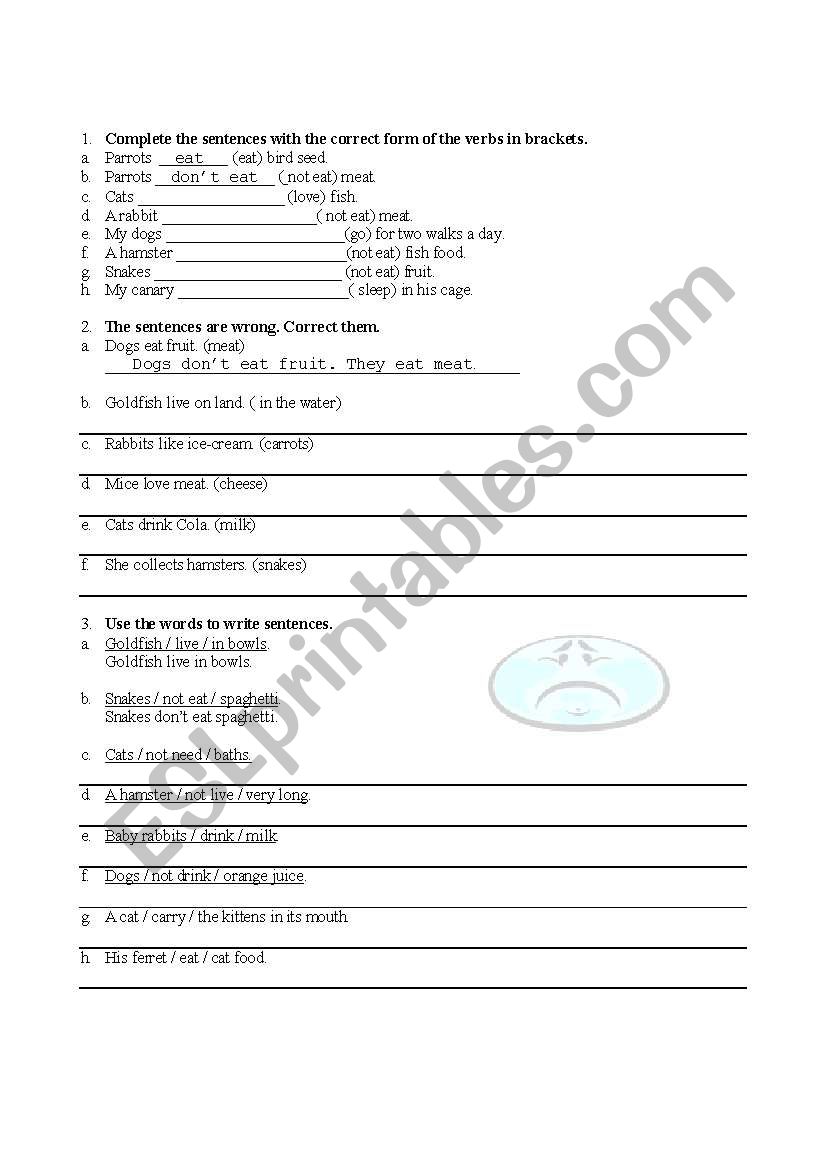 Verb exercises worksheet