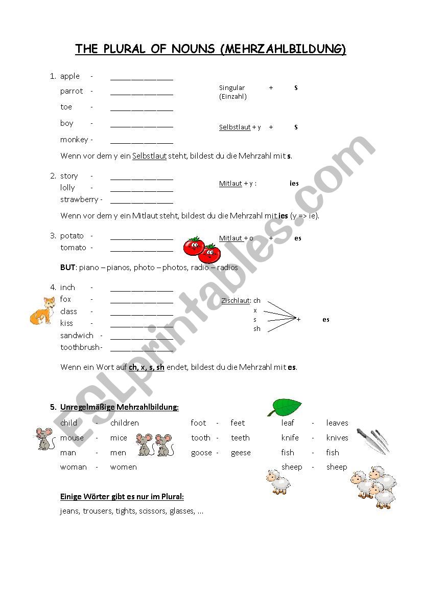 The plural of nouns worksheet