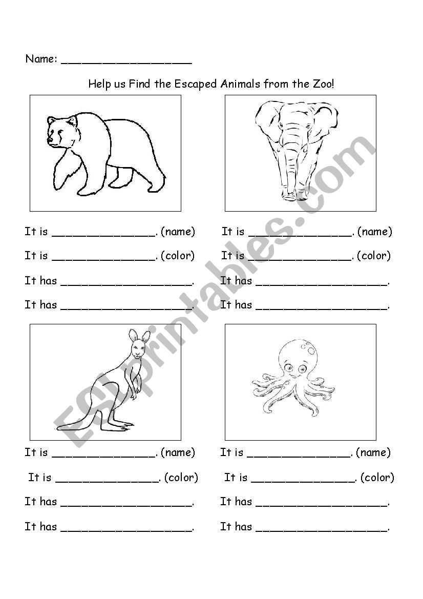 Escaped from the Zoo worksheet