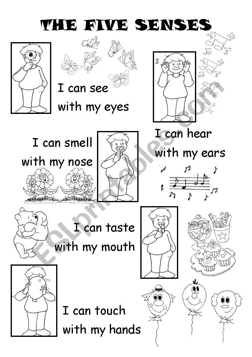 The five senses worksheet