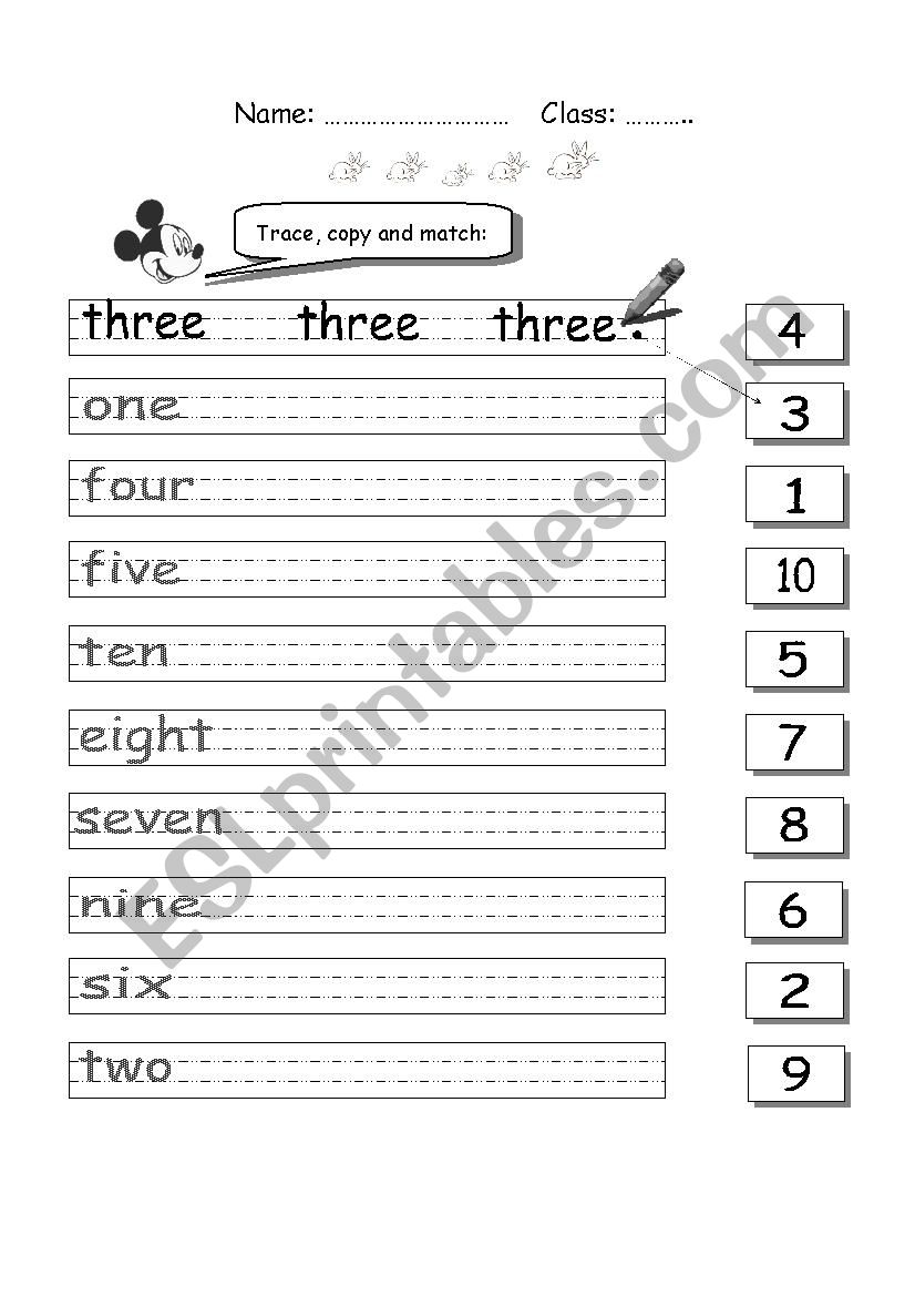 Trace and Match Numbers  worksheet