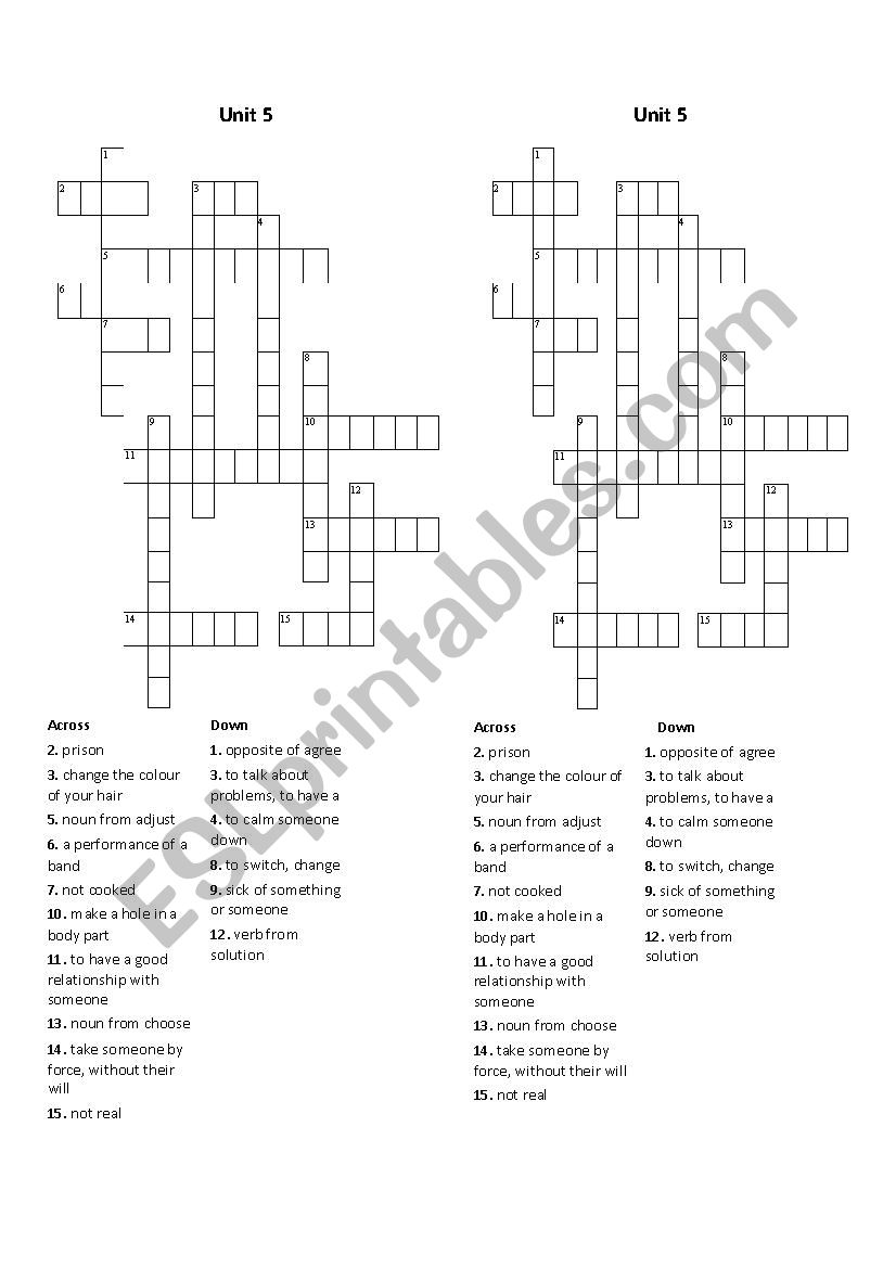 Project 4-Unit 5 vocabulary worksheet