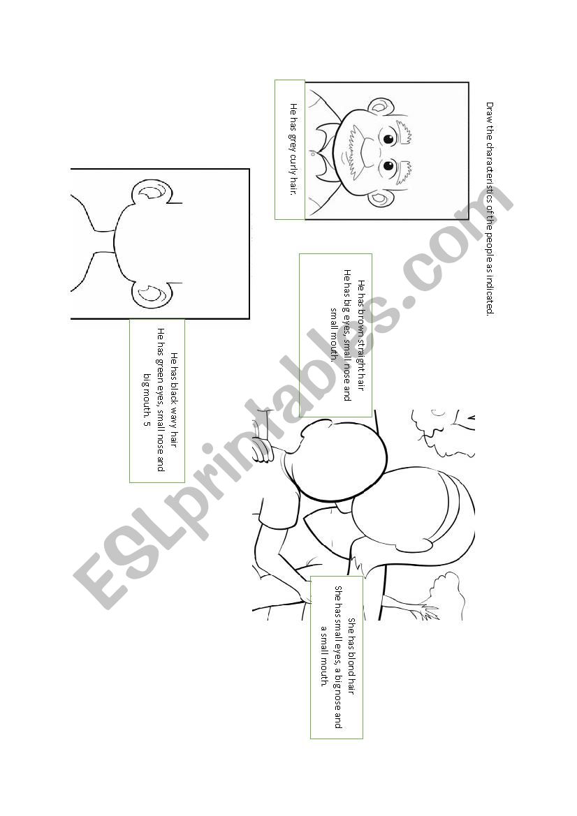 physical appearance worksheet