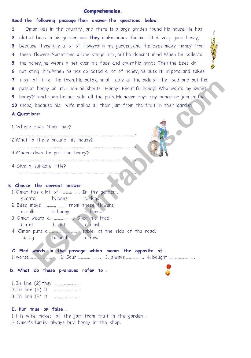 the  honey bee worksheet