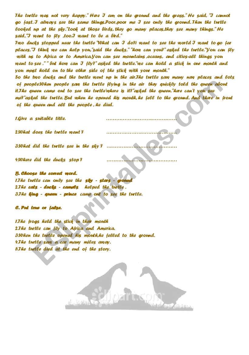 the  two  ducks worksheet