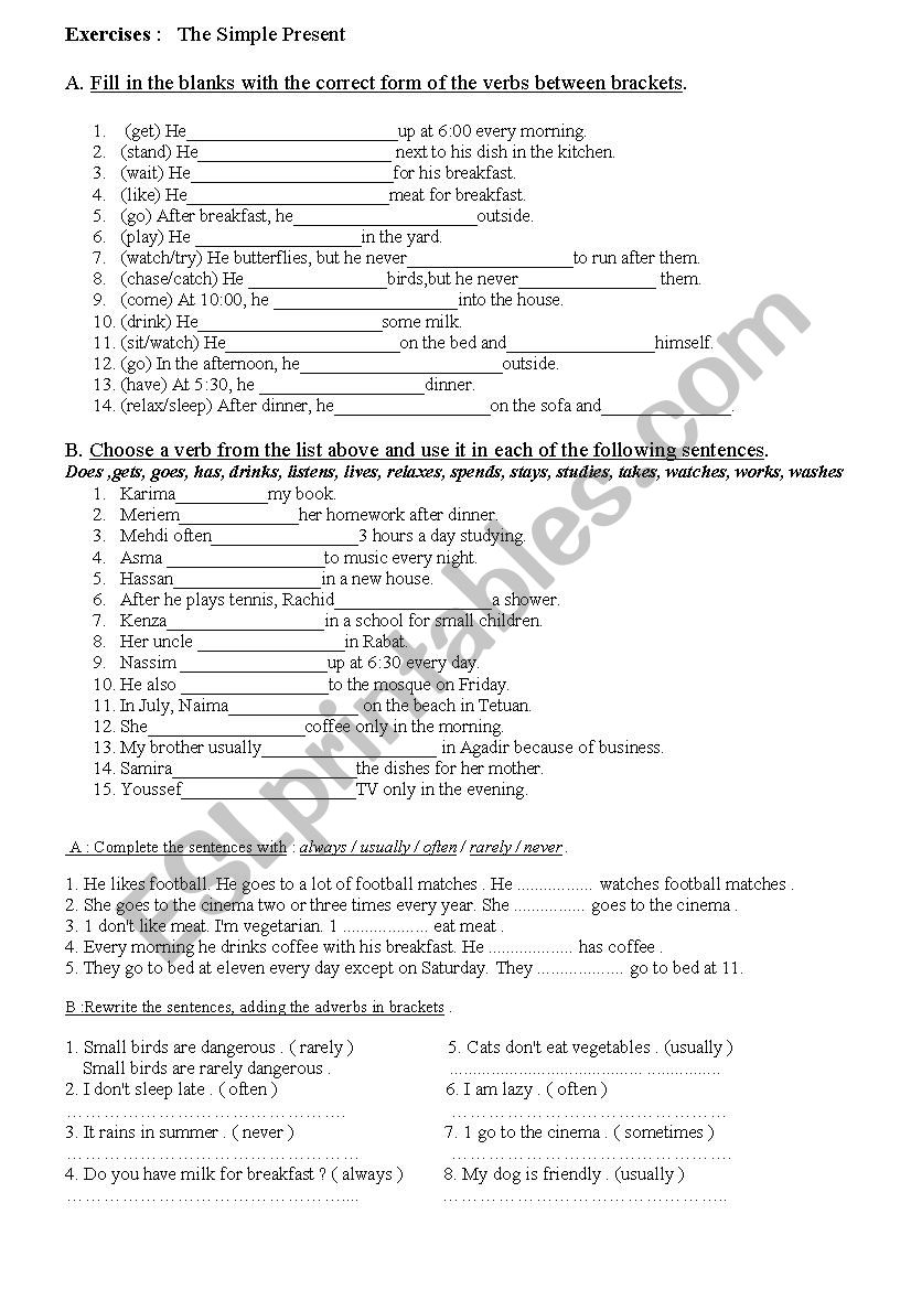 exercise: Simple present worksheet