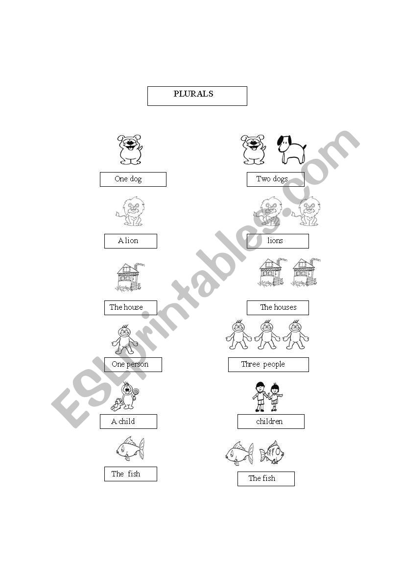 Plurals worksheet