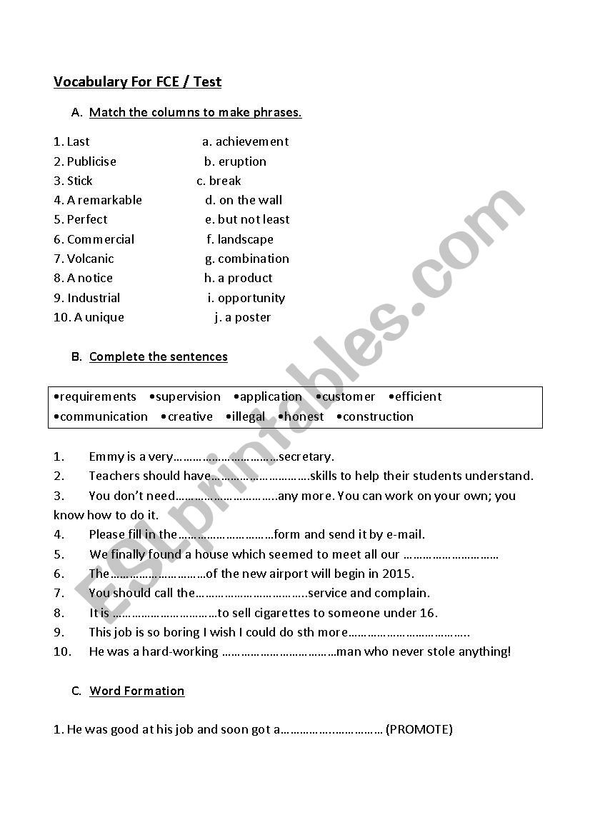 VOCABULARY TEST B2 LEVEL worksheet