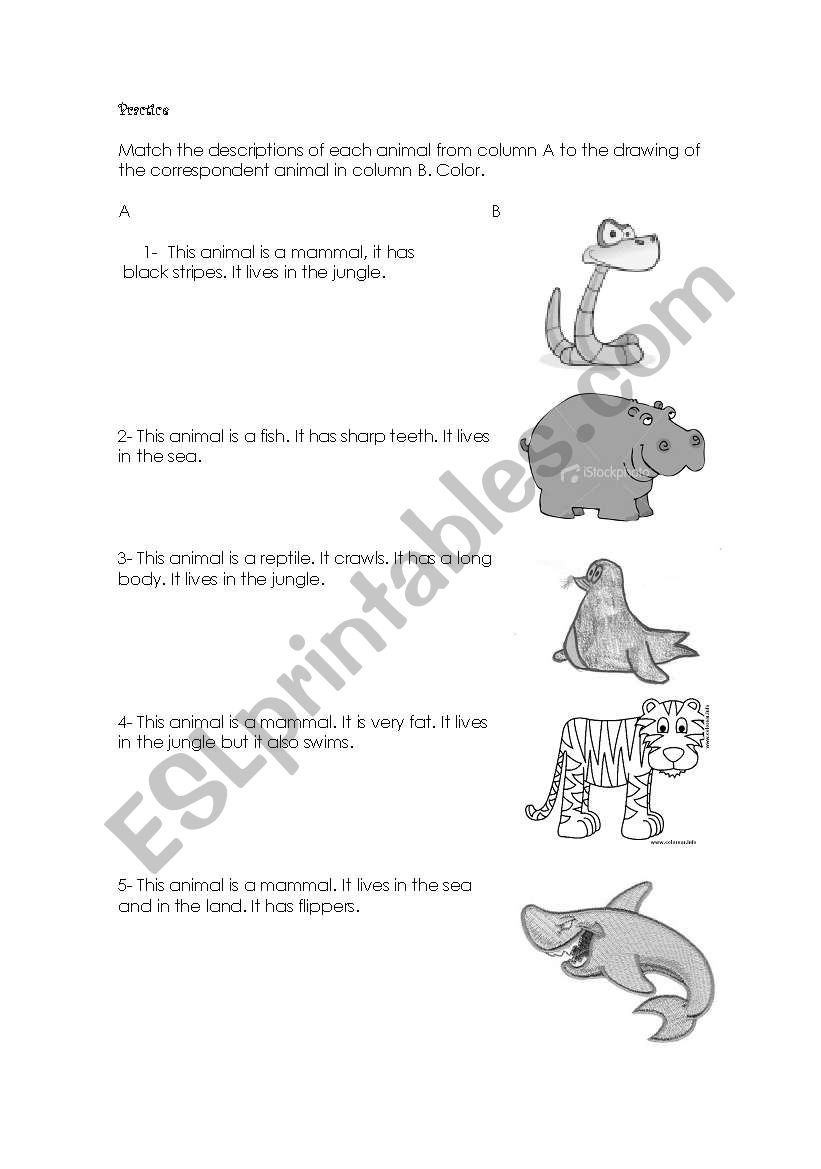 Descriptions of animals worksheet