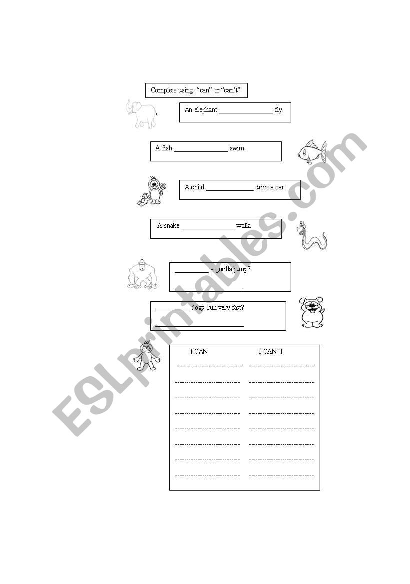 Can (exercises) worksheet