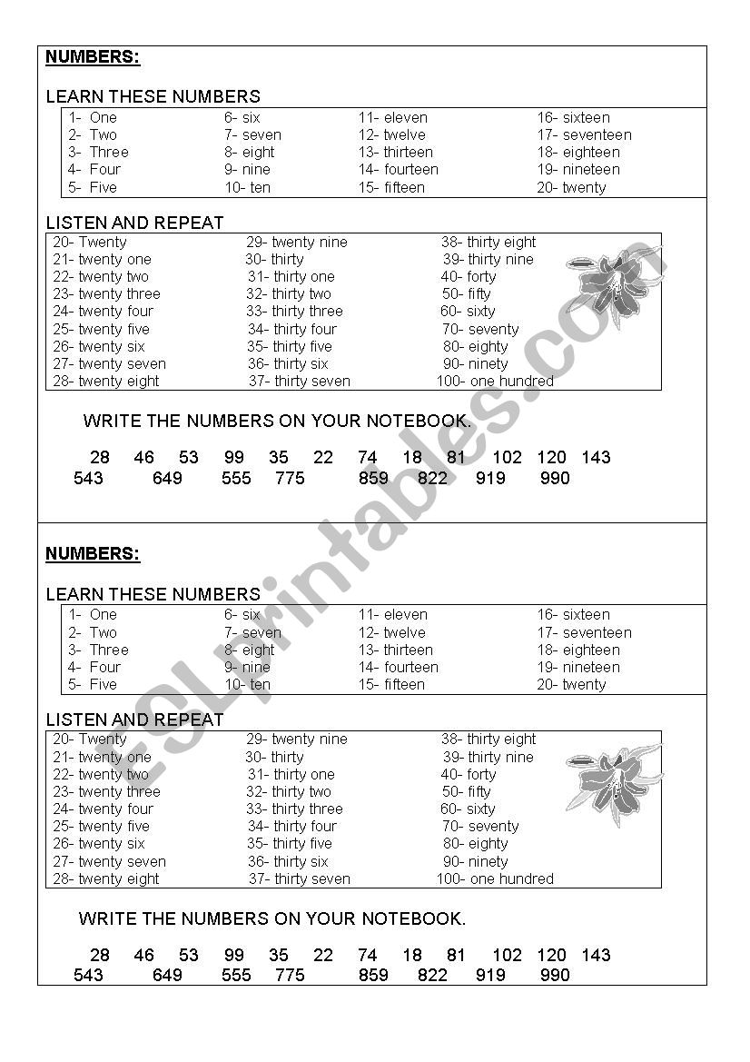 Writing numbers worksheet